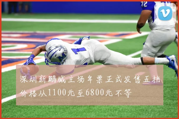 深圳新鹏城主场年票正式发售五档价格从1100元至6800元不等