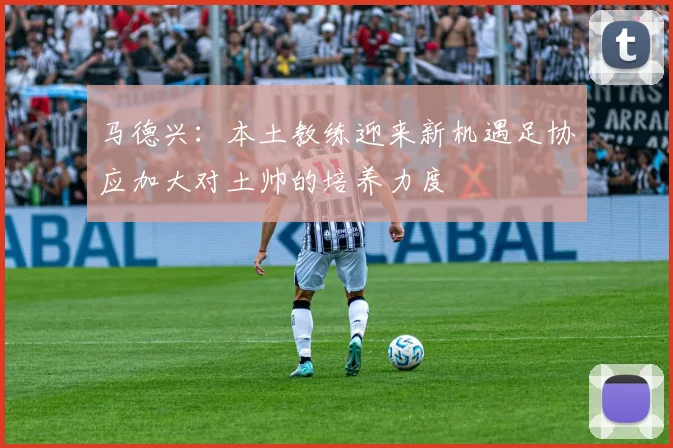 马德兴：本土教练迎来新机遇足协应加大对土帅的培养力度