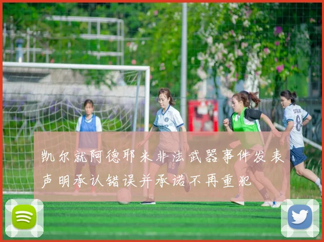 凯尔就阿德耶米非法武器事件发表声明承认错误并承诺不再重犯
