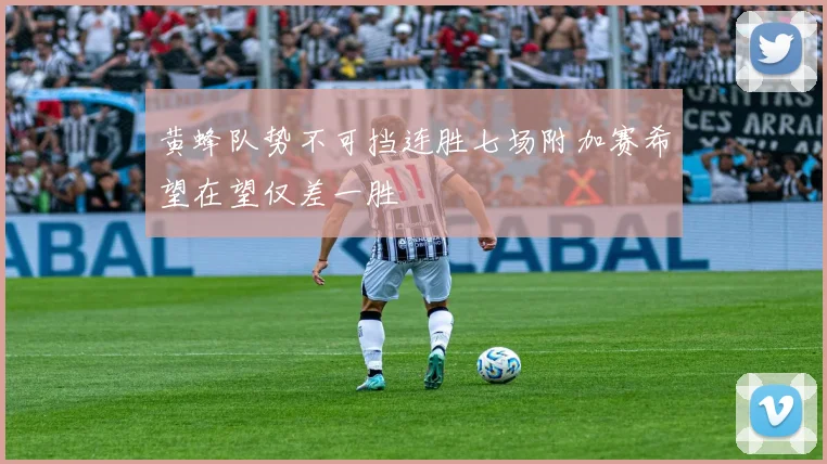 黄蜂队势不可挡连胜七场附加赛希望在望仅差一胜