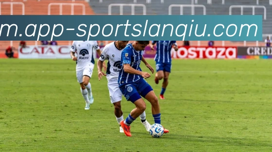 篮球赌注平台生态图